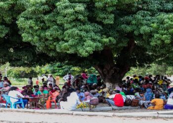 Terroristas forçaram até 112 mil pessoas a abandonar suas casas: Financiamento do Reino Unido permite resposta humanitária rápida em Nampula