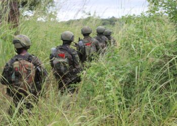 Estado Islâmico diz ter morto cinco militares do Ruanda em Cabo Delgado