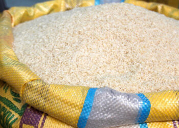 “Boa-nova no prato dos moçambicanos”: Governo promete arroz mais barato e de melhor qualidade