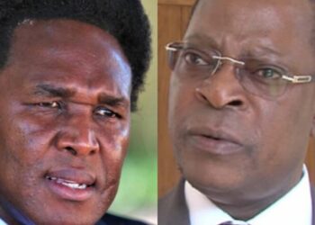 Provedor de Justiça indefere pedido de Venâncio Mondlane sobre inconstitucionalidade do PESOE 2026