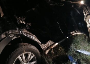 Colisão de uma viatura e elefante no troço turístico da EN1 no Parque Nacional de Maputo deixa um cidadão italiano gravemente ferido